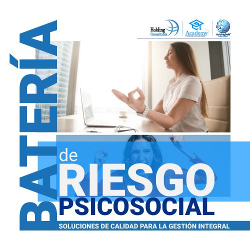 Batería De Riesgo Psicosocial Holding Consultants